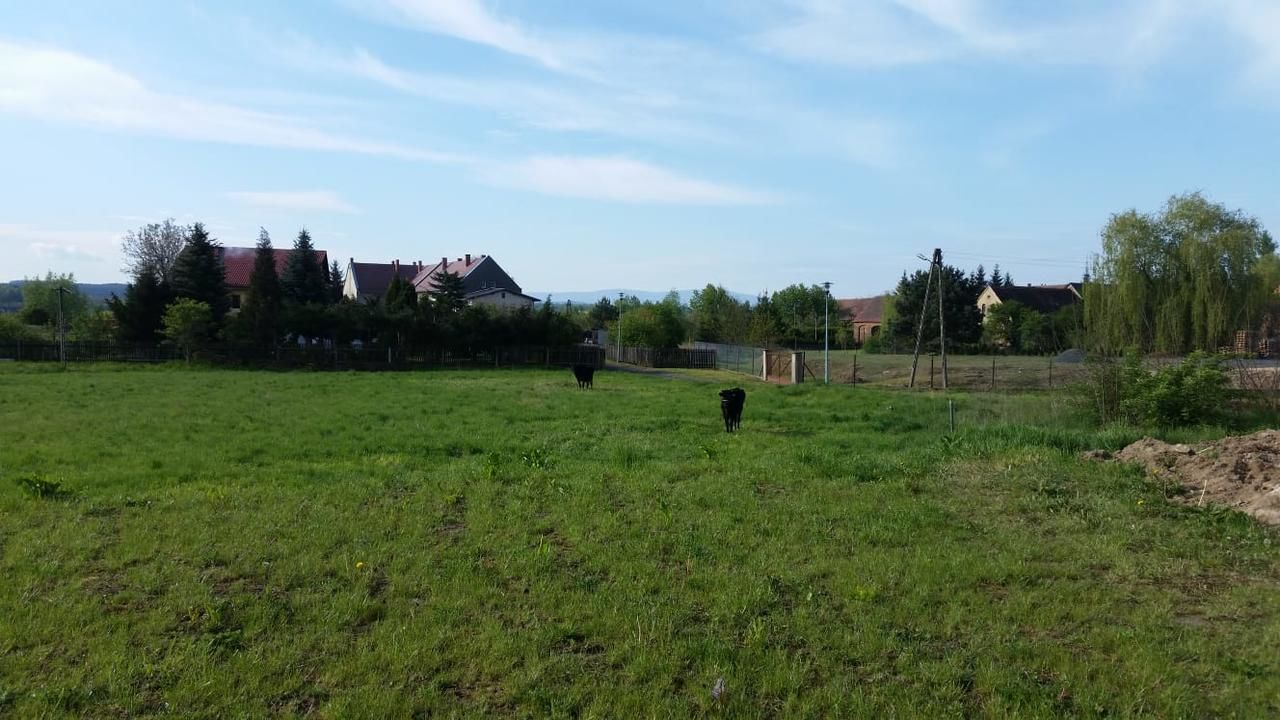 Проживание в семье Villa Steffi Любань-7