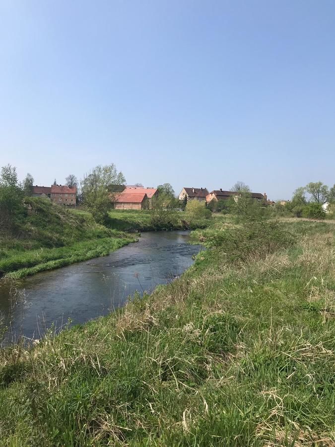 Проживание в семье Villa Steffi Любань-9