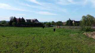 Проживание в семье Villa Steffi Любань-3