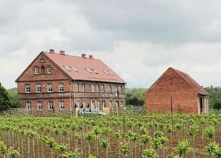 Проживание в семье Villa Steffi Любань-7
